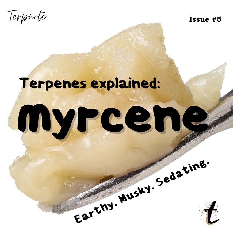 Terpenes Explained: Myrcene issue cover