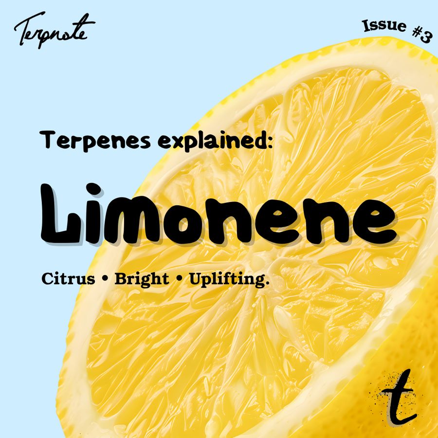 Terpenes Explained: Limonene issue cover